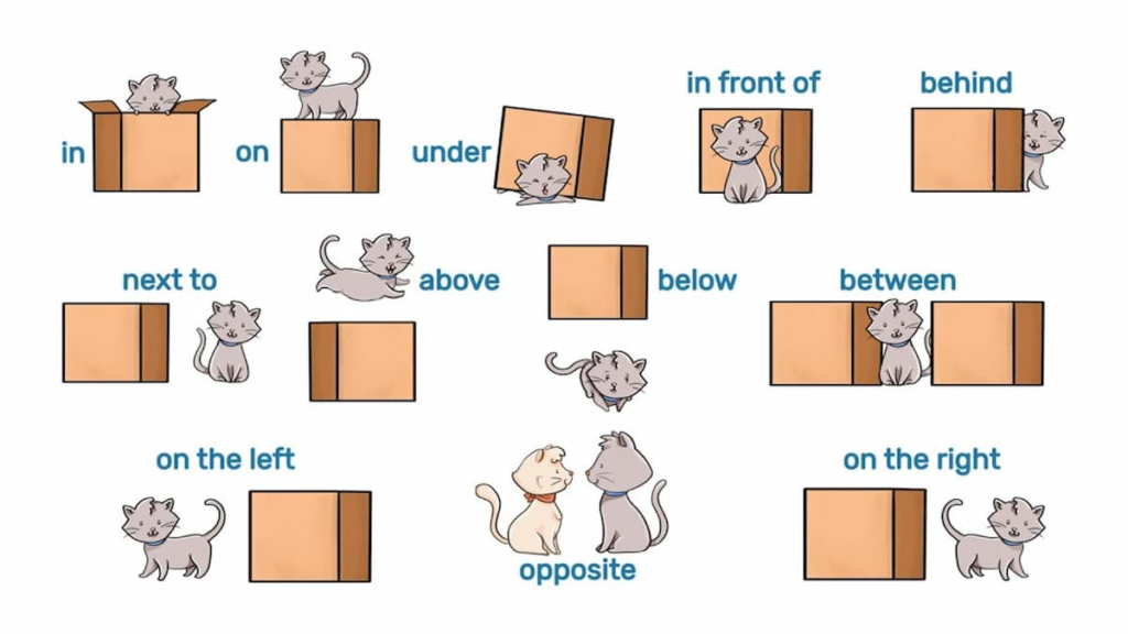 Bài Tập Giới Từ (Prepositions) Trong Tiếng Anh: Từ Cơ Bản Đến Nâng Cao