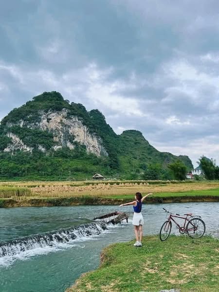 546223072 1502701837744645 5690227219497955114 N