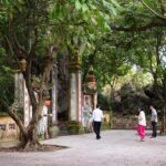 536268022 1318680906722248 7155435900261655144 N