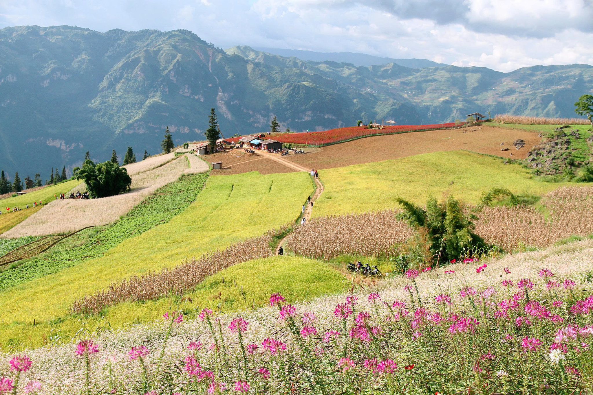 543402857 2220686268437016 2435022422451215454 N