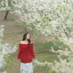 484507475 667760525629823 805297993422667998 N