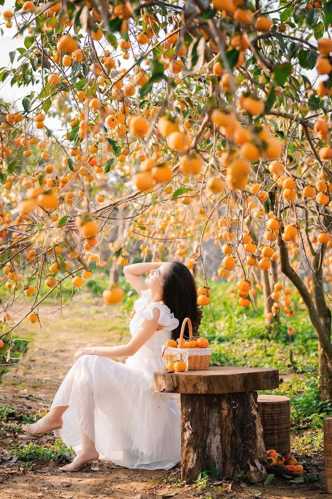 487861263 1098505202303826 5044208378700723583 N