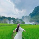 488216548 1117182470430352 3952931000128162847 N