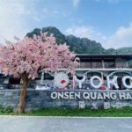 489619078 4755788527980180 4623299796751694329 N