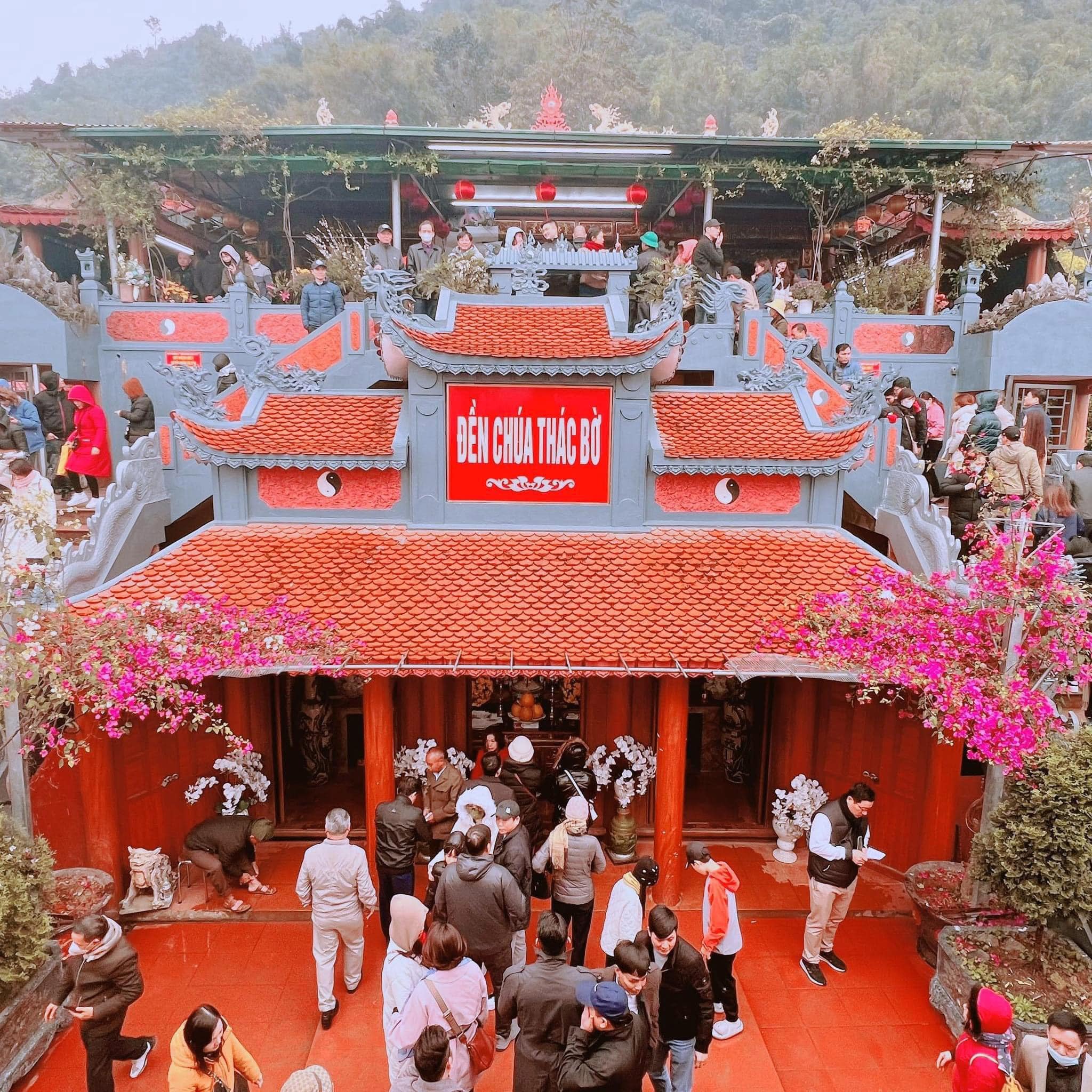 489036847 2015132739009599 6814001426578948231 N