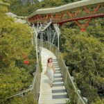 518305108 1205561558259109 3314148285987380719 N